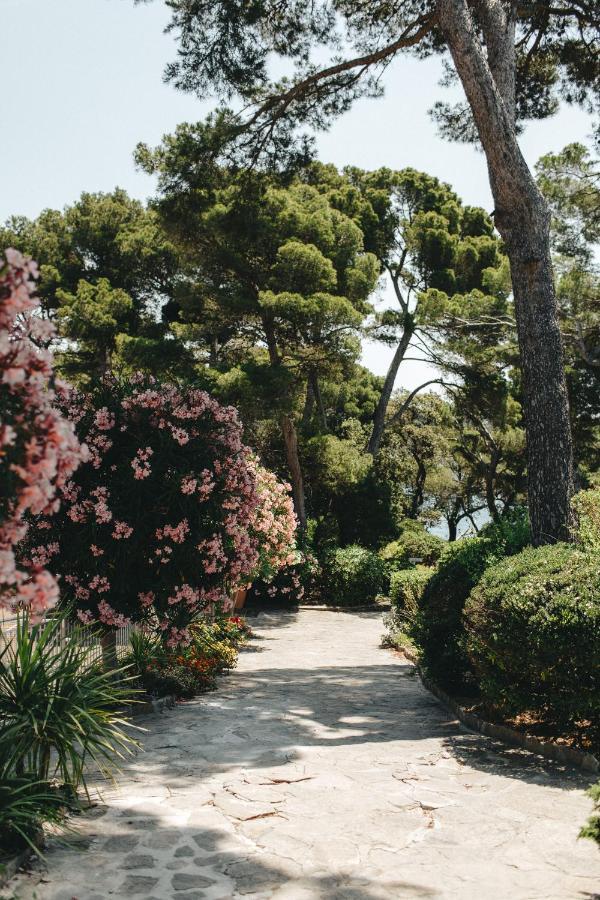 Hotel Provencal Ιέρ Εξωτερικό φωτογραφία